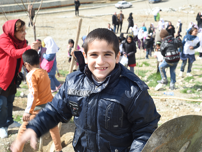 درختکاری