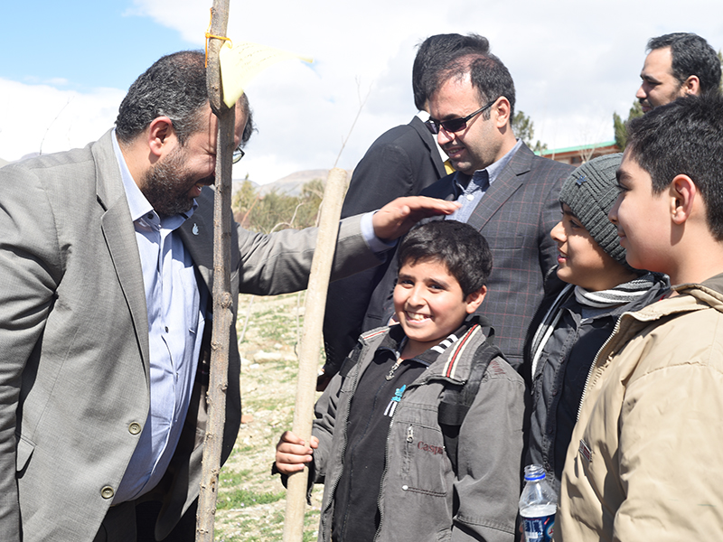 درختکاری